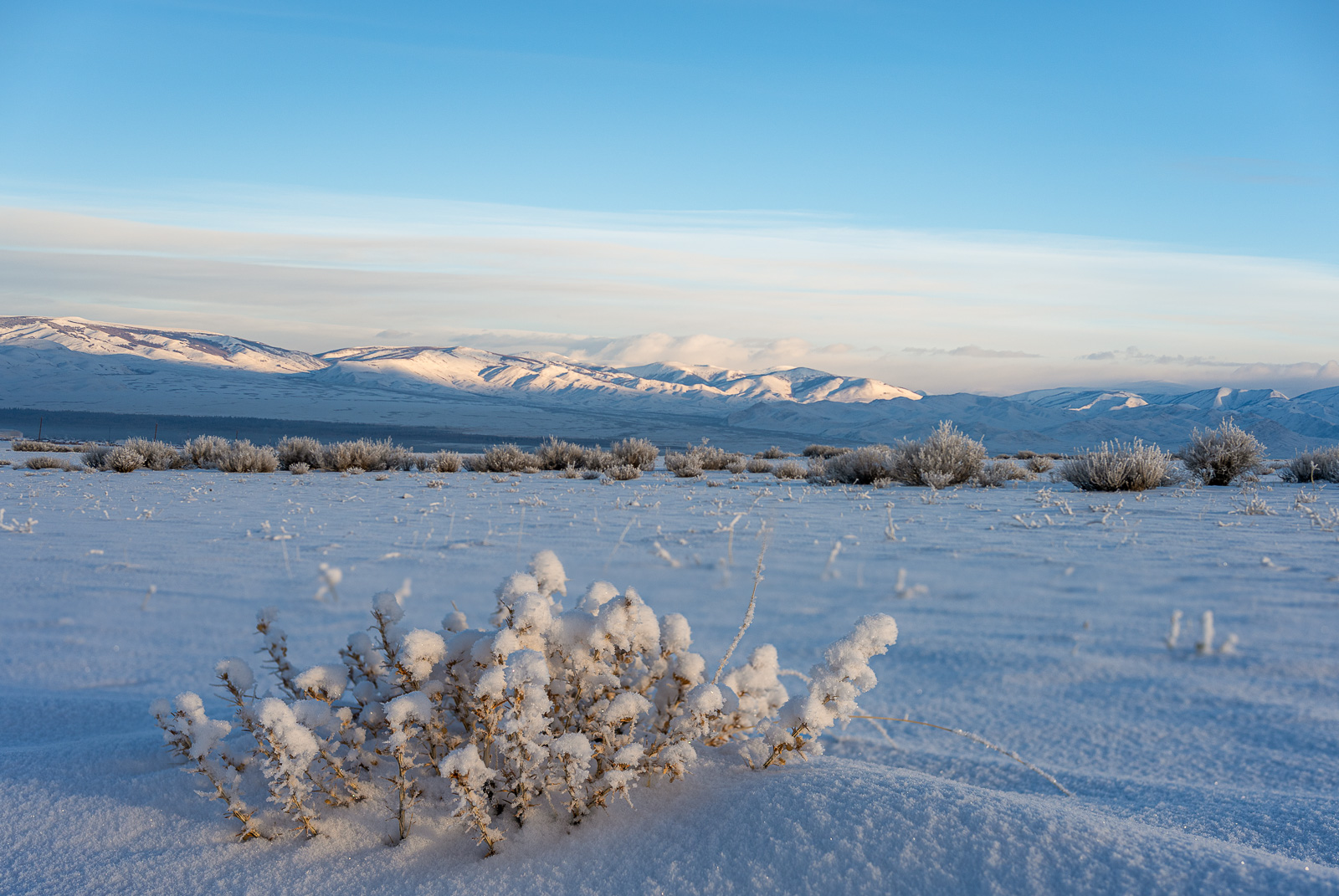 27е декабрьское утро
