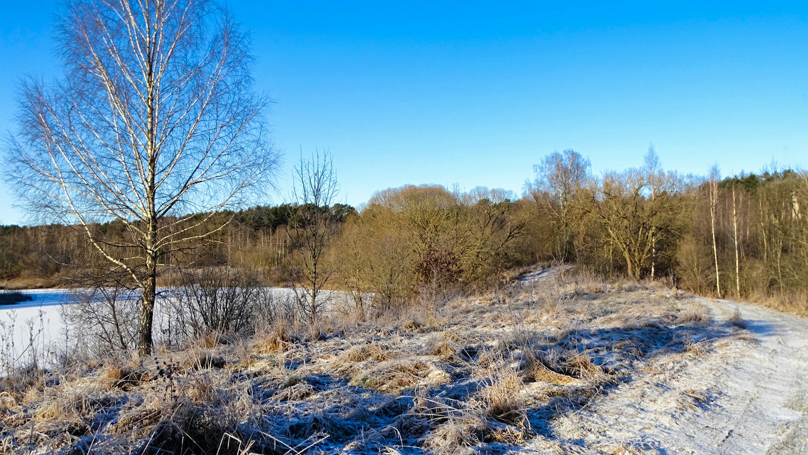 Природа Смоленщины 