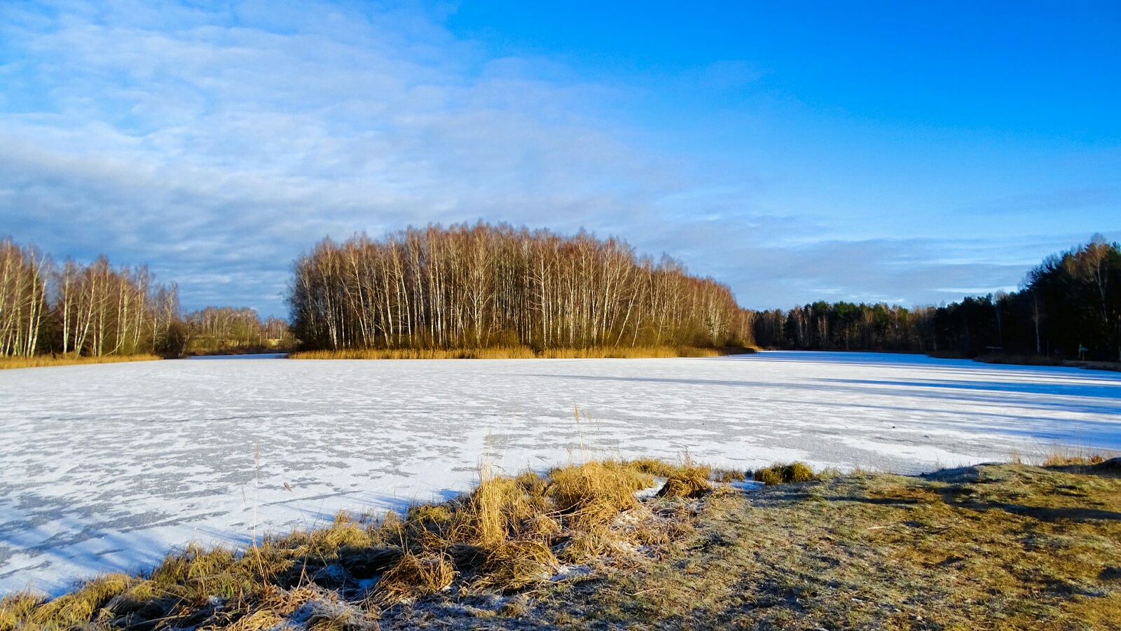 Природа Смоленщины 