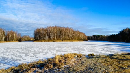 Природа Смоленщины 