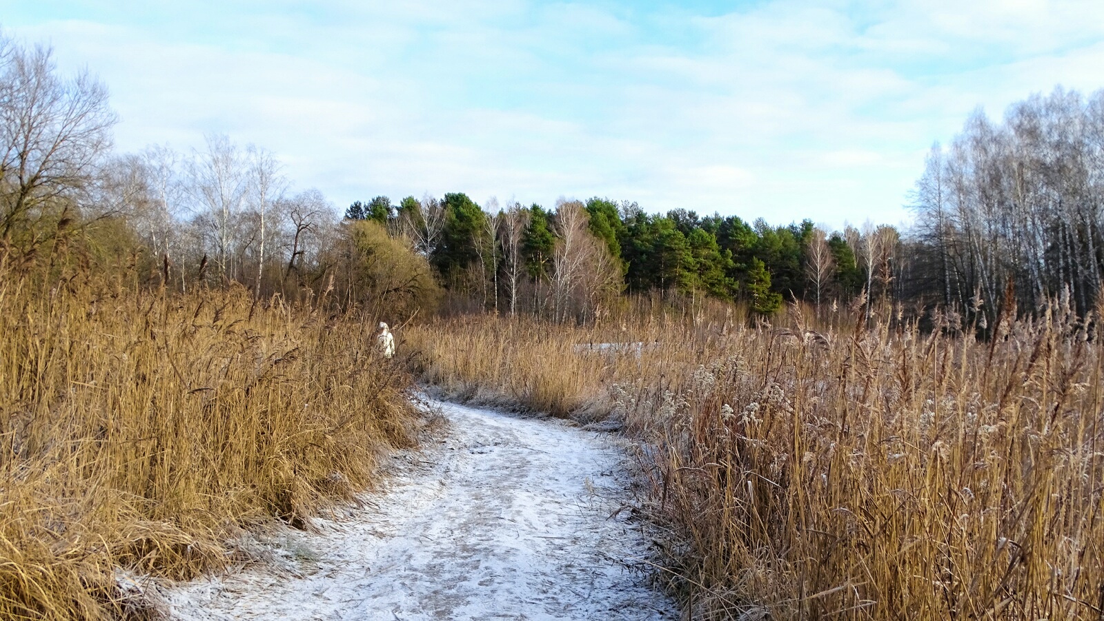 Природа Смоленщины 