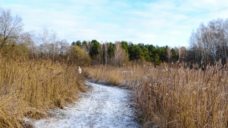 Природа Смоленщины 