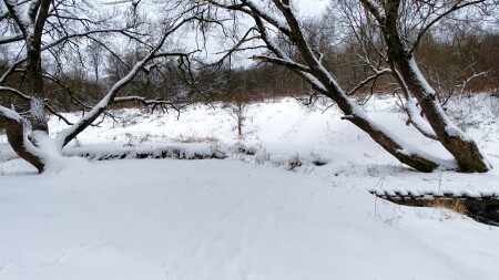 Природа Смоленщины 