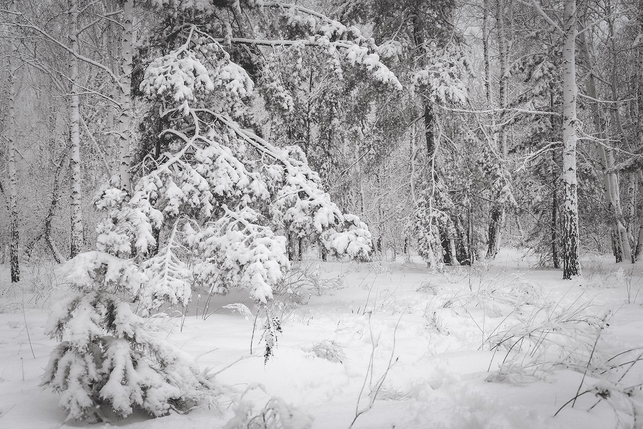 Начало декабря