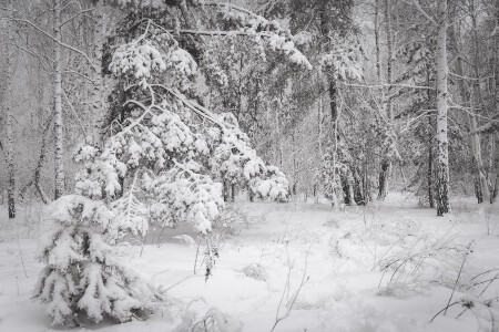 Начало декабря