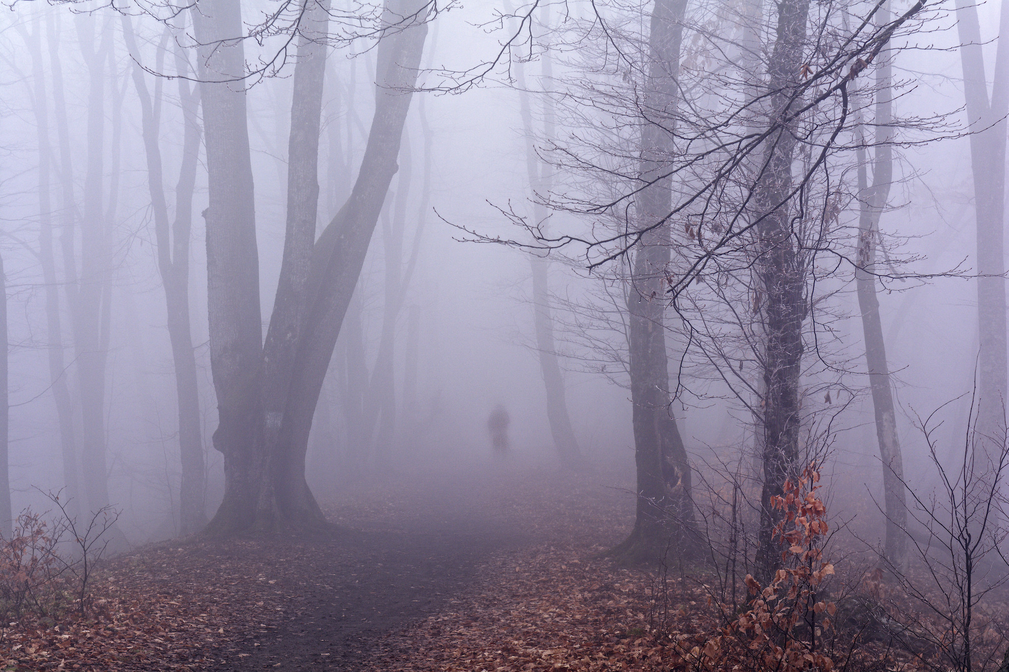 Одиночество