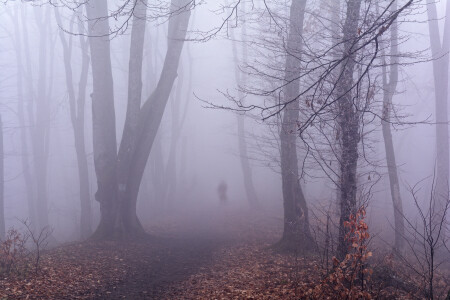 Одиночество