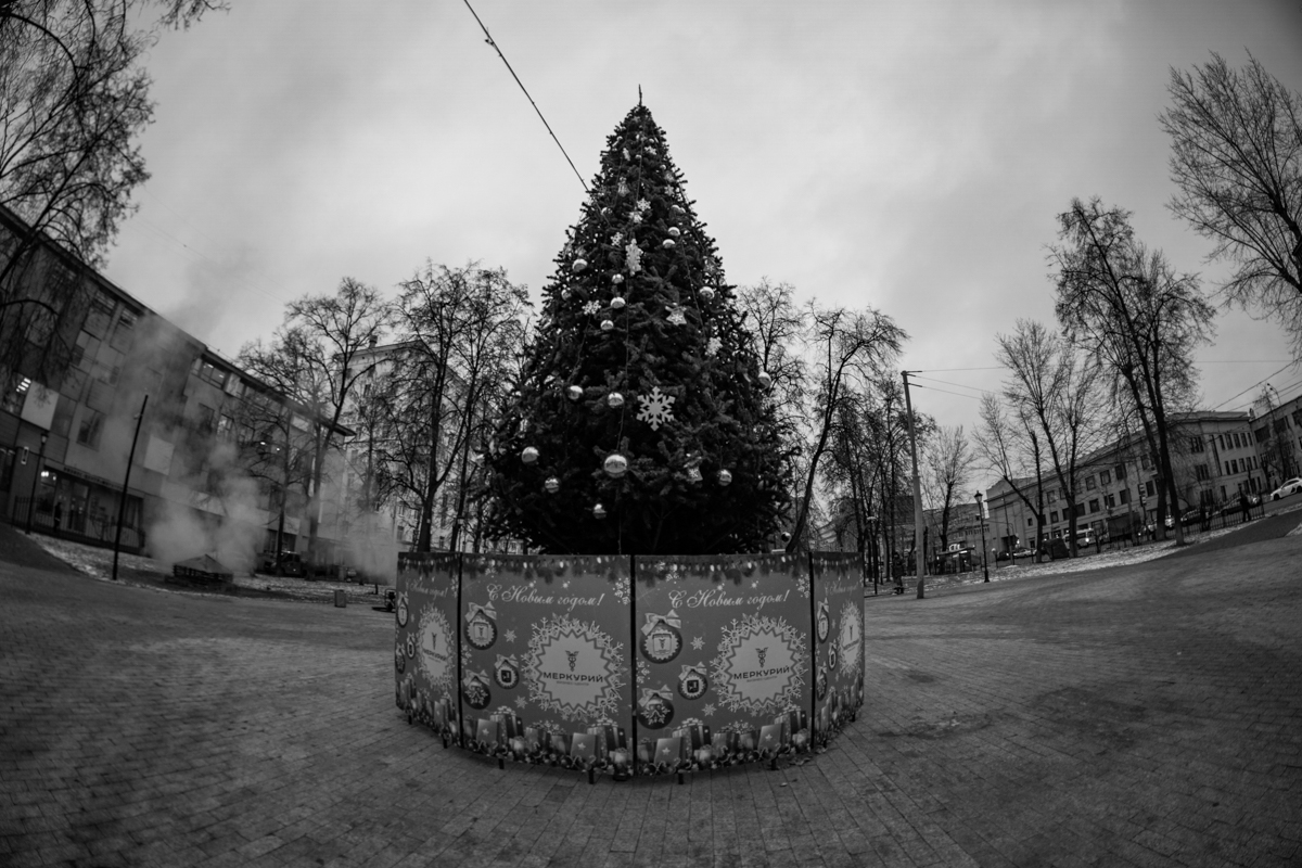 ёлочка фишай