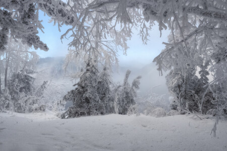 Морозный Енисей