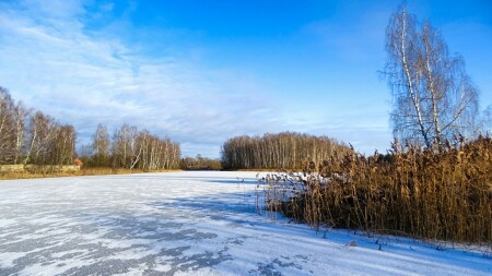 Природа Смоленщины 