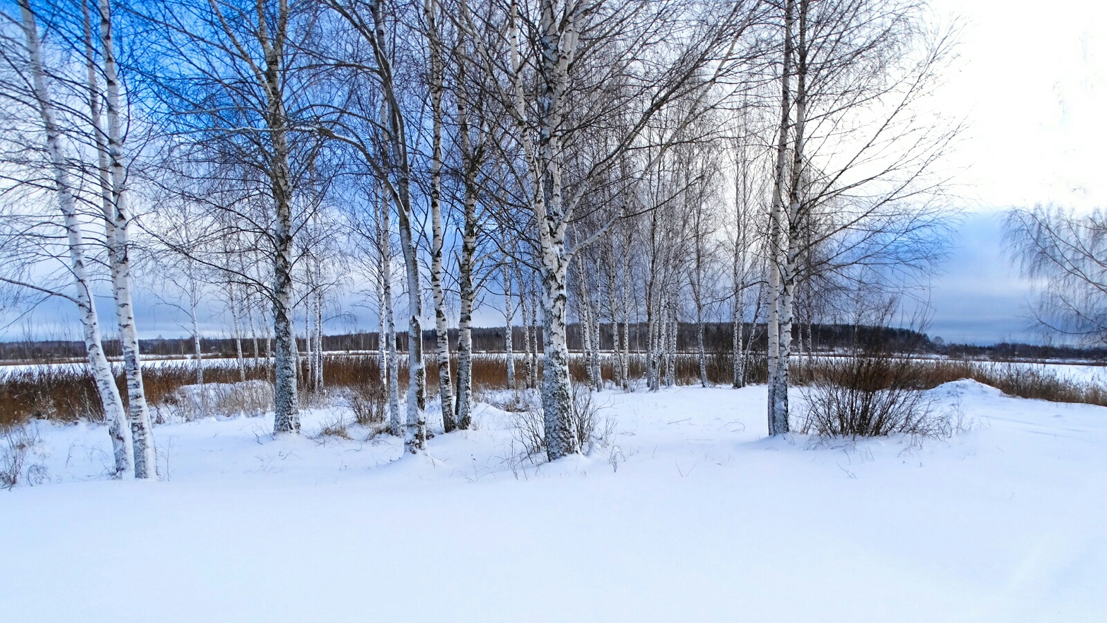 Природа Смоленщины 