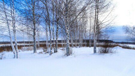 Природа Смоленщины 