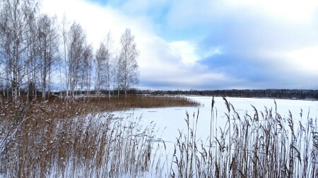 Природа Смоленщины 