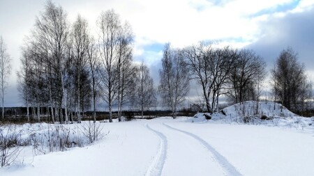 Природа Смоленщины 