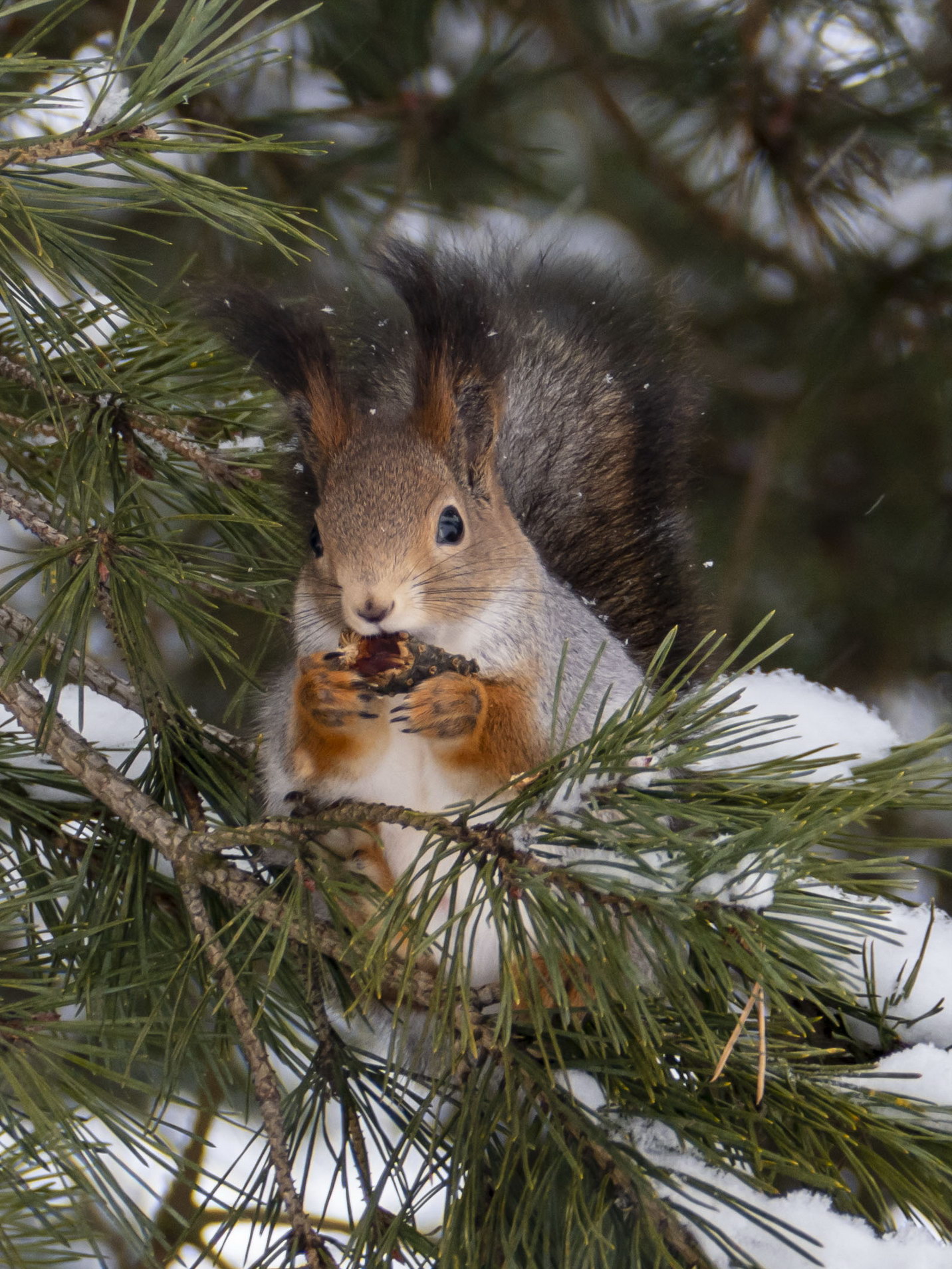Наслаждение