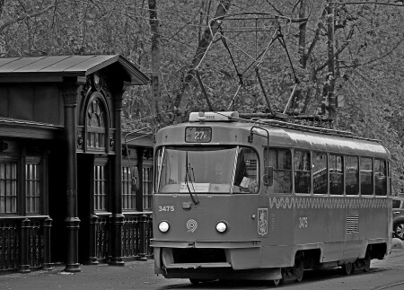 Московский Трамвай