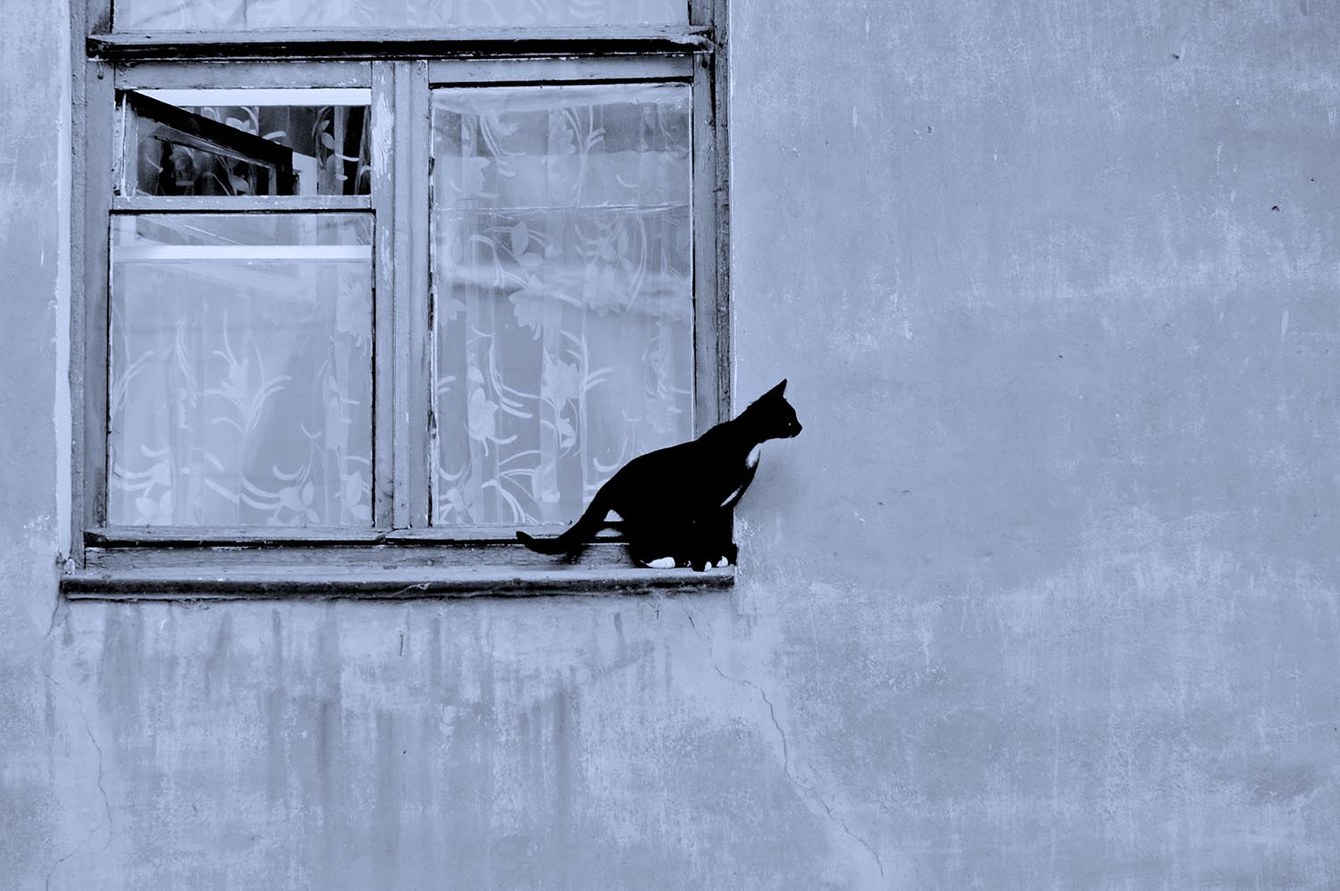 Где же ты моя подружка.