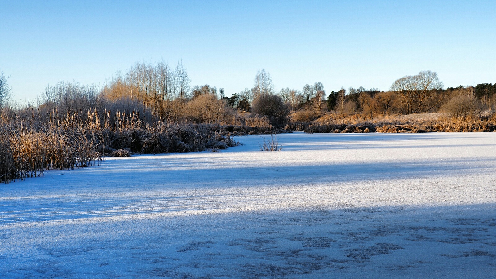 Природа Смоленщины 