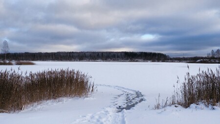 Озёра Смоленщины 