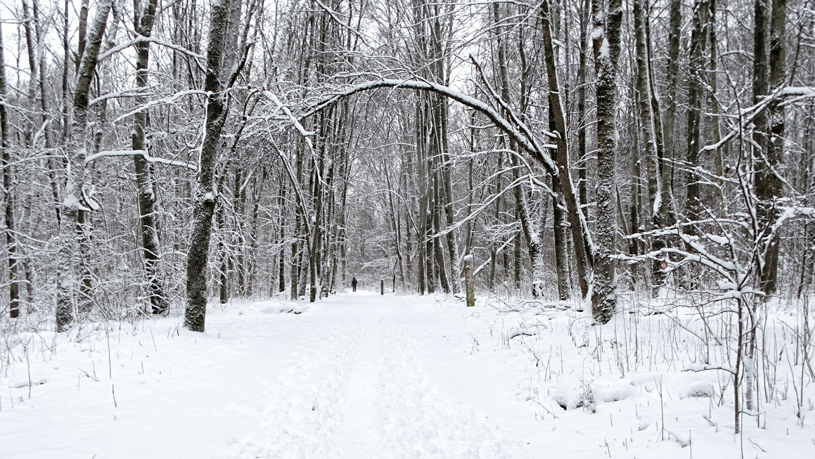 Природа Смоленщины 