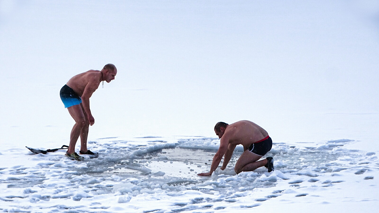 Моржи встречают Новый год.