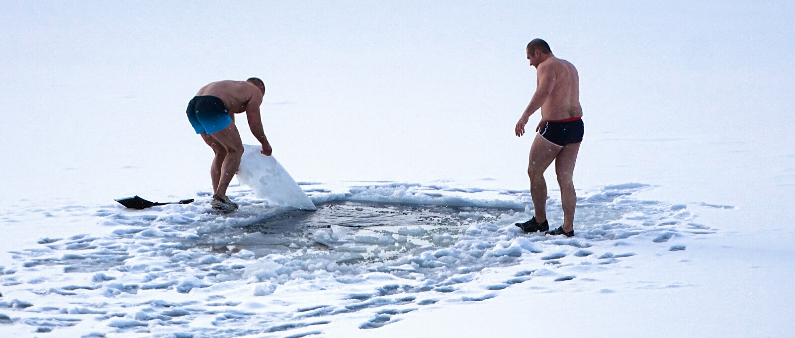 Моржи встречают Новый год.