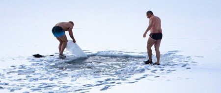 Моржи встречают Новый год.
