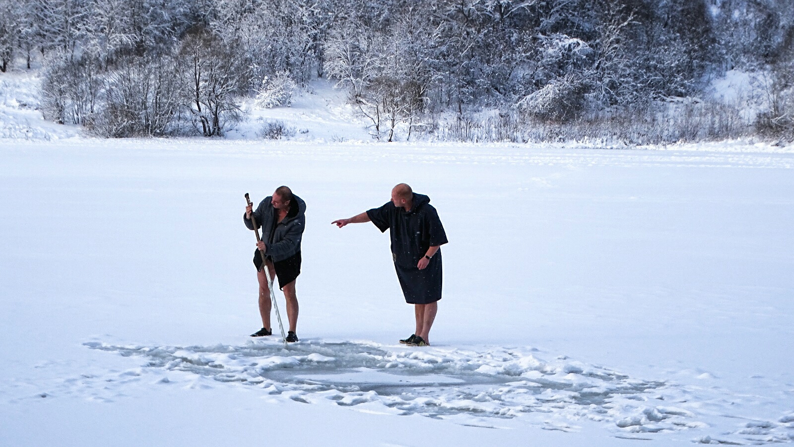 Моржи встречают Новый год.
