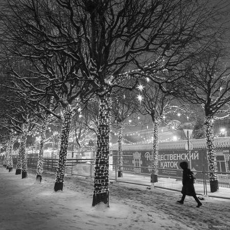 Кленовая улица. С-Пб., 30.12.2025.