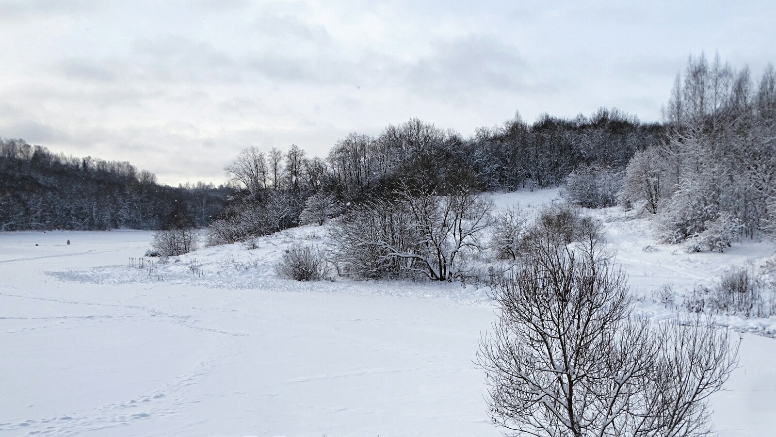 Природа Смоленщины 