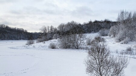 Природа Смоленщины 