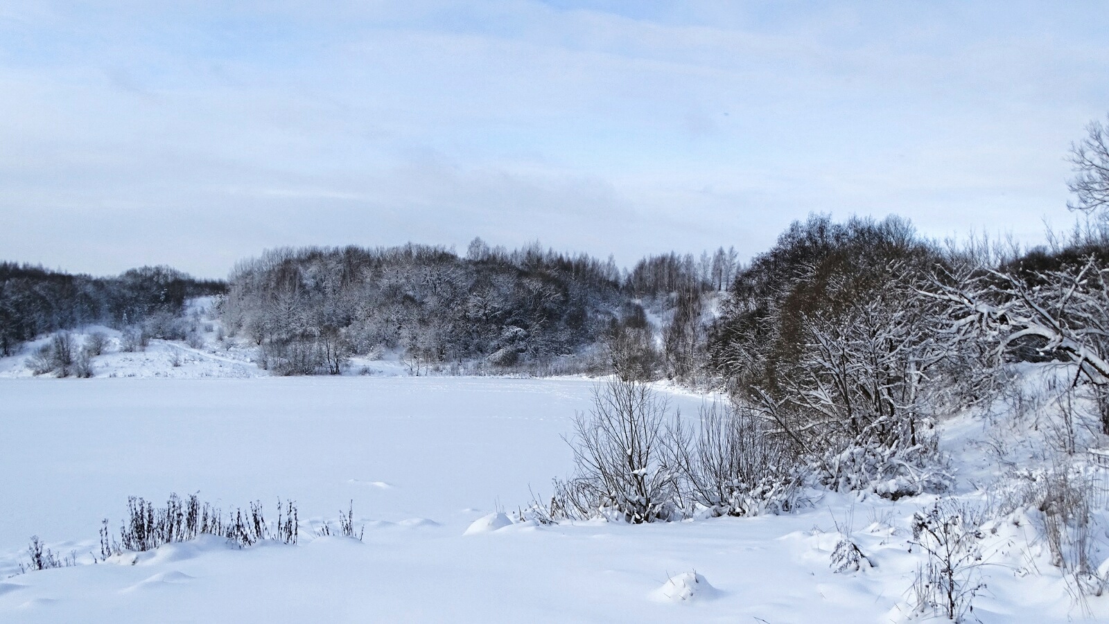 Природа Смоленщины 