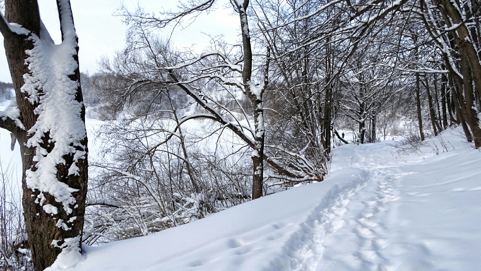 Природа Смоленщины в последний день уходящего года.