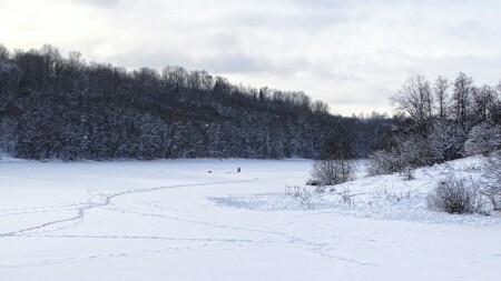 Природа Смоленщины 