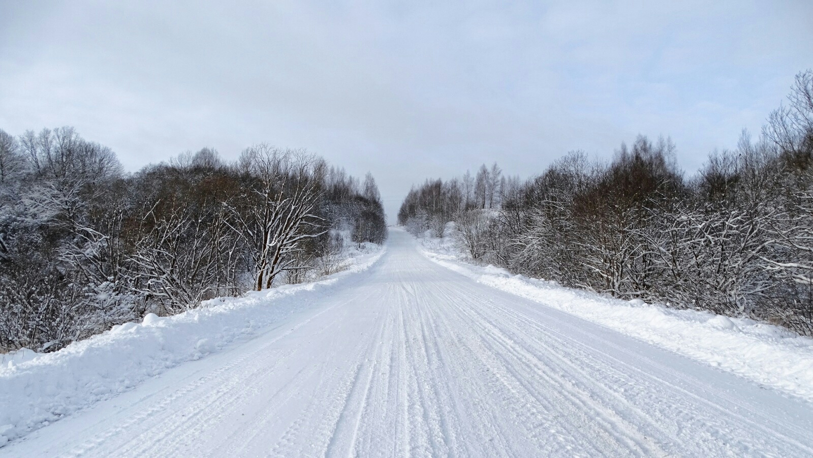 Природа Смоленщины 