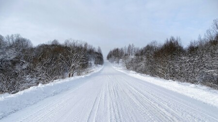 Природа Смоленщины 