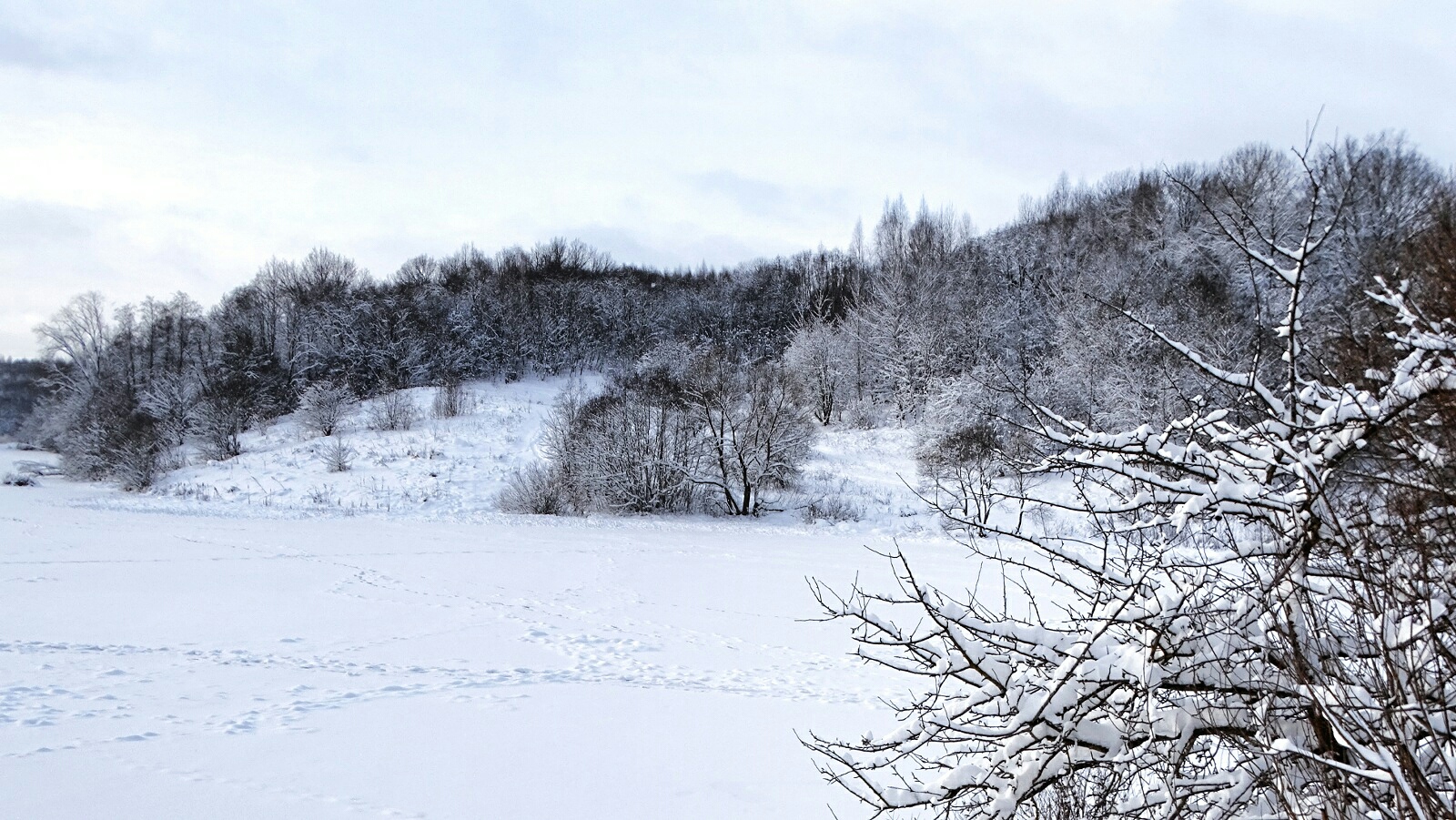 Зимний пейзаж.