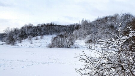 Зимний пейзаж.