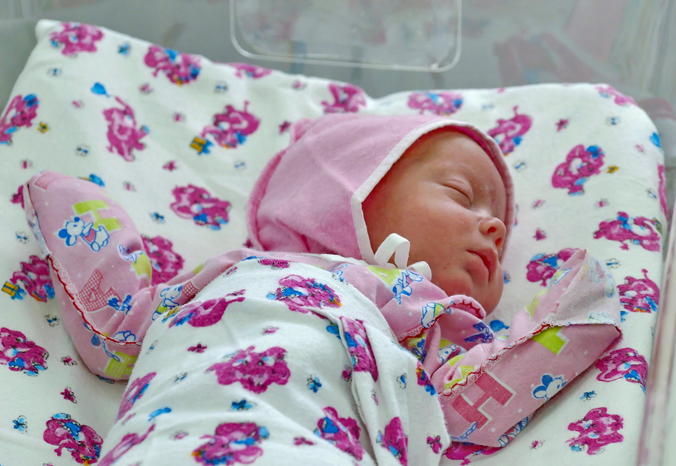 Новая жизнь начинается.