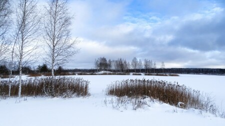 Природа Смоленщины 