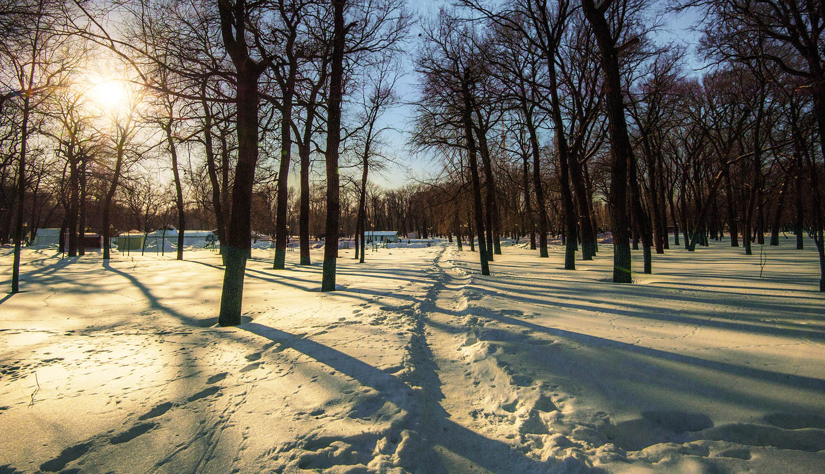 Зимняя тропинка