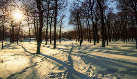 Зимняя тропинка