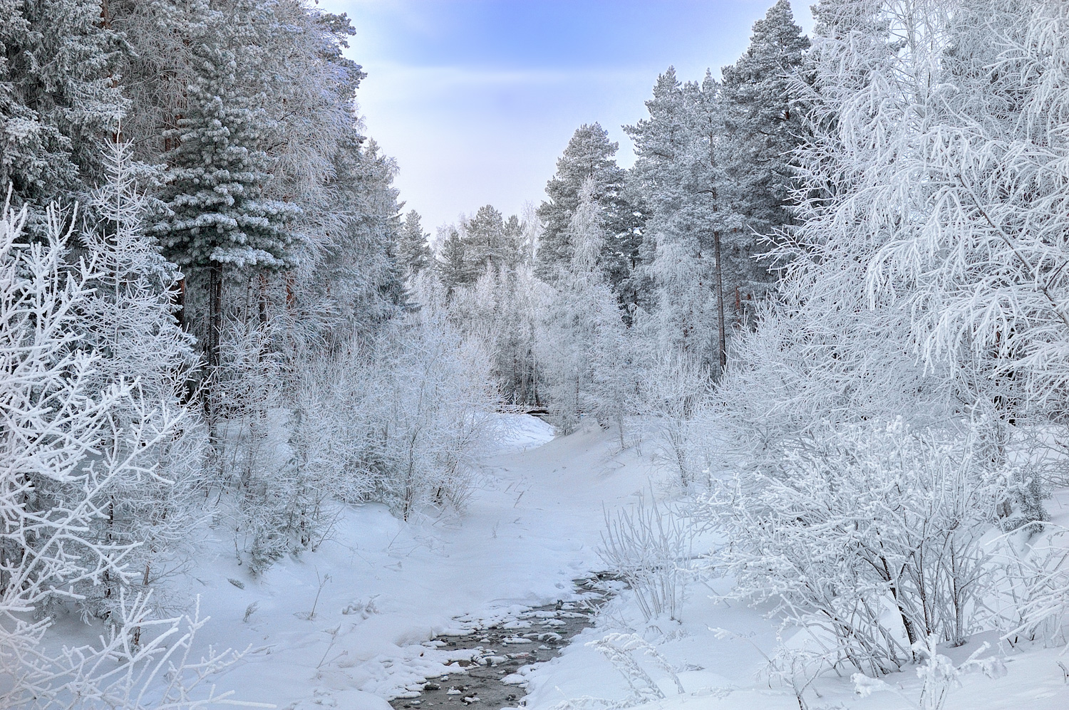 Белоснежная зима 