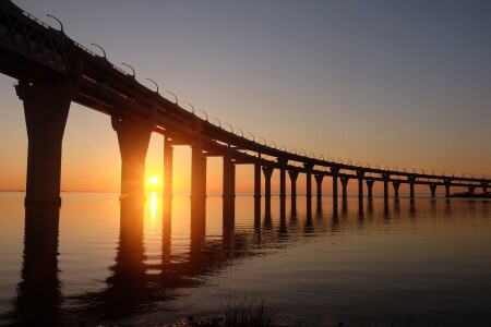 На Канарах. №1.