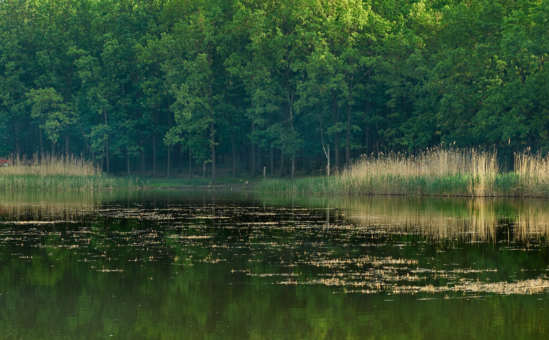 Гусиная балка.