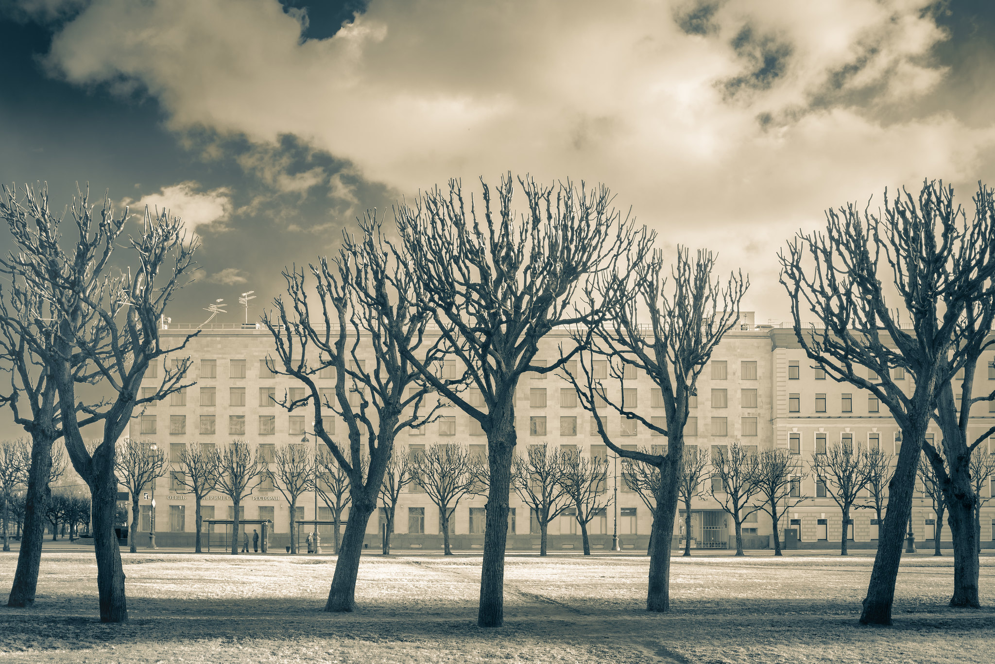 Очарование опустошения ранней весны