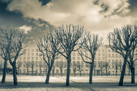 Очарование опустошения ранней весны