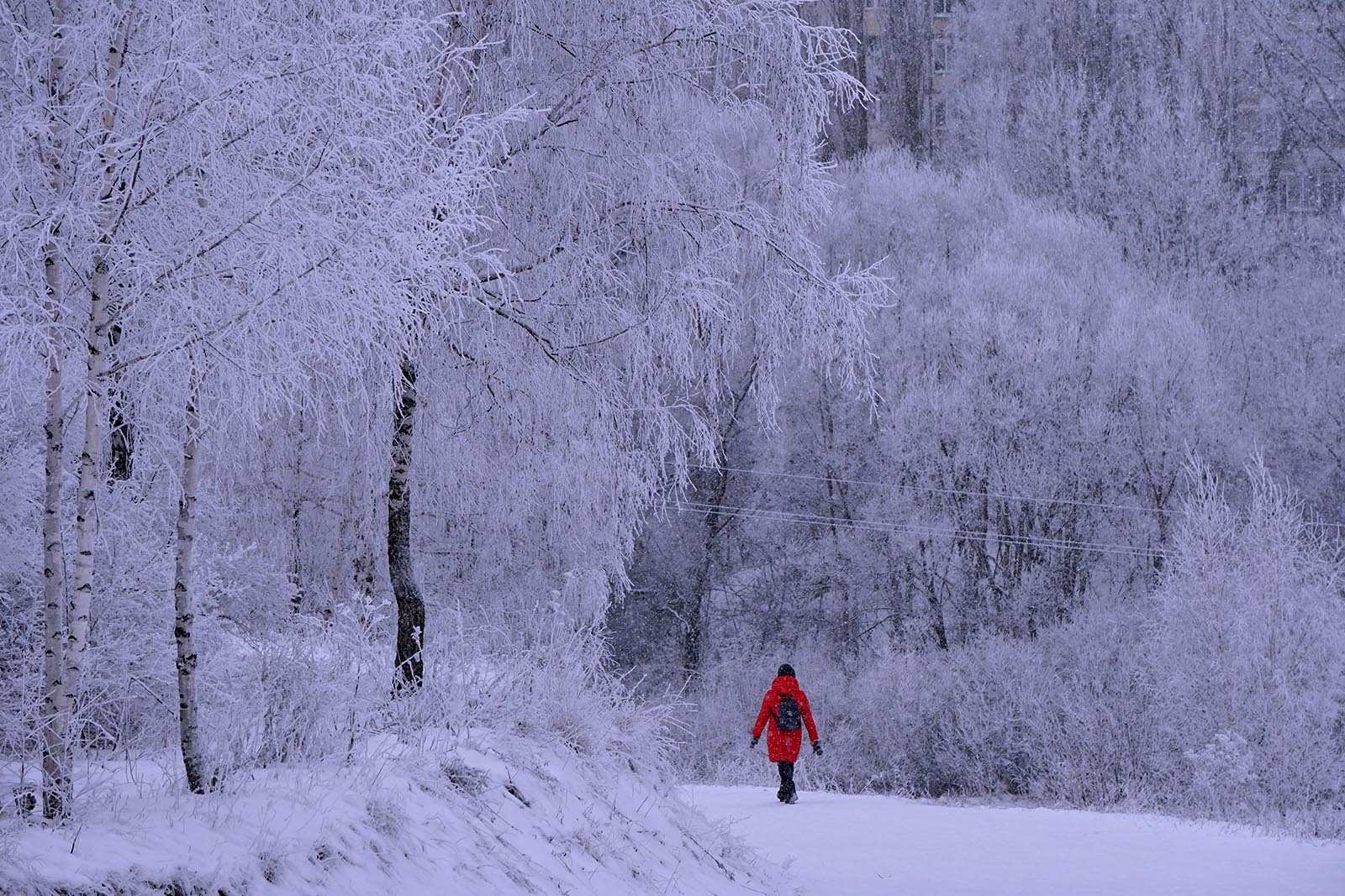 Фантазия деда Мороза.