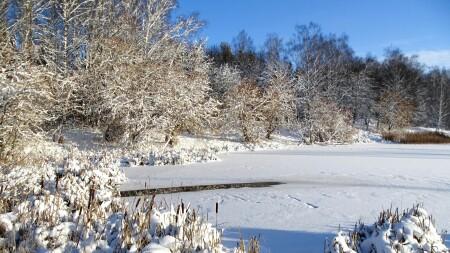 Природа Смоленщины 