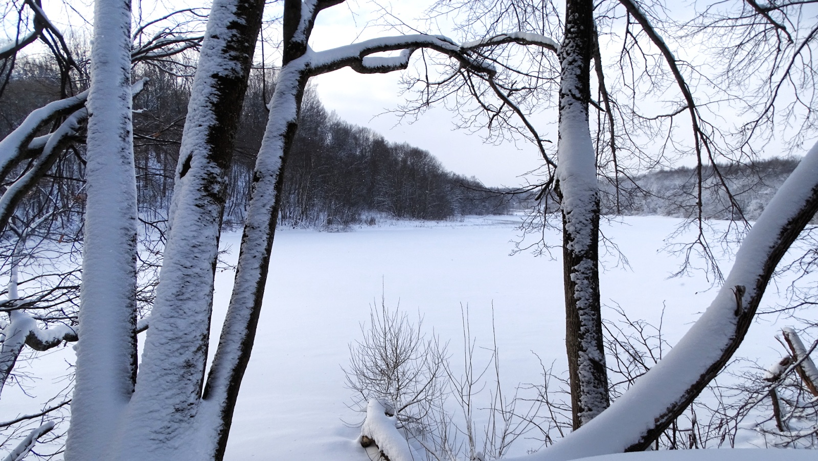 Природа Смоленщины 